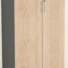 Medium Height Cabinet with solid doors