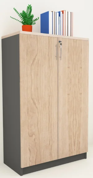 Medium Height Cabinet with solid doors