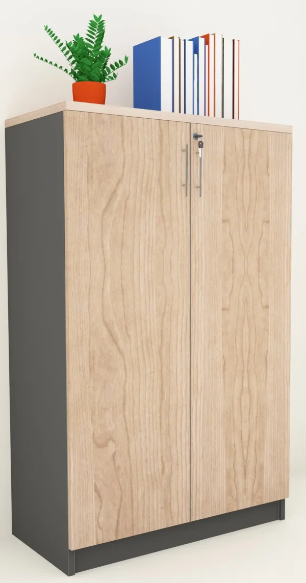 Medium Height Cabinet with solid doors