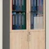 2 Door High Cabinet with Glass Doors and Wooden Frame