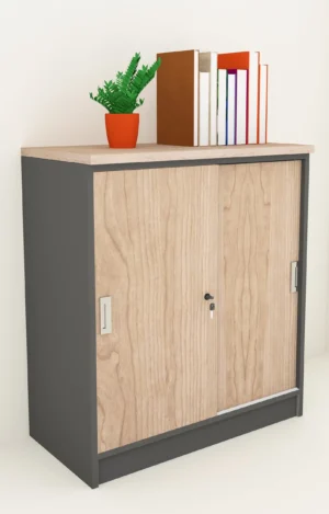 SLIDING DOORS CABINET