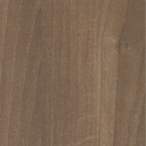 American Walnut