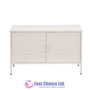 Low Level Metallic Cabinets